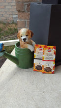 Load image into Gallery viewer, Maple Crunch Dark Chocolate Bar

