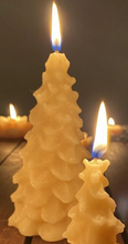 Load image into Gallery viewer, Candle - Evergreen Tree
