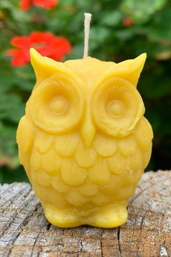 Candle - Mini Owl
