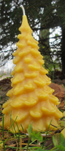 Load image into Gallery viewer, Candle - Evergreen Tree
